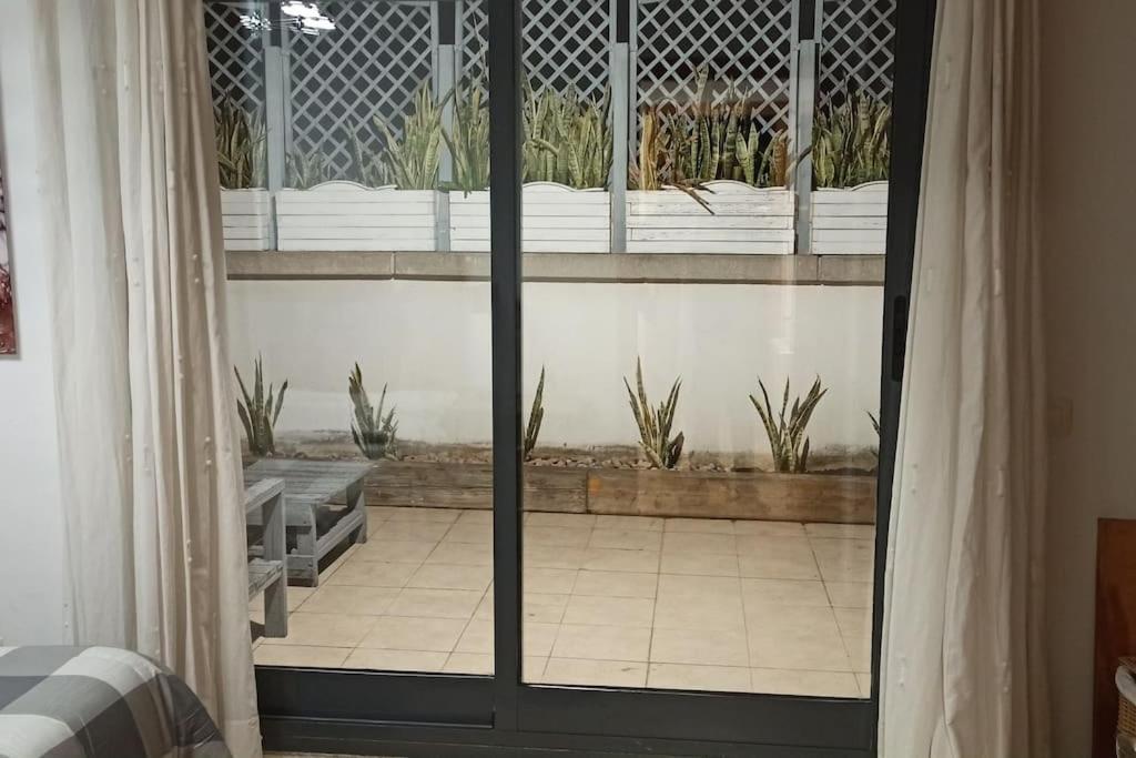 Atico En Paiporta Con 2 Grandes Terrazas Apartment Valencia Exterior photo